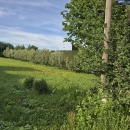 Štinjan - građevinsko zemljište 